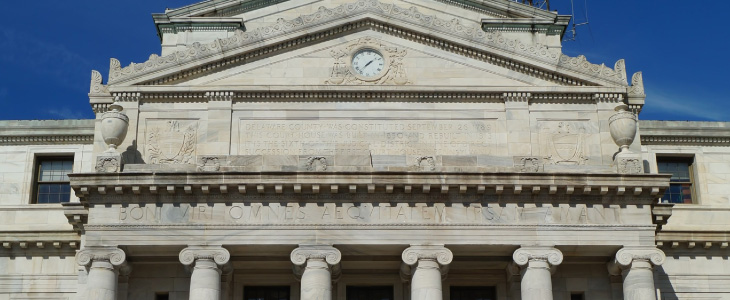 image-industry-730×300-government